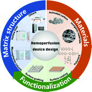 Graphical abstract: A critical review of hemoperfusion adsorbents: materials, functionalization and matrix structure selection