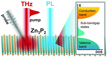 Graphical abstract: Showcasing the optical properties of monocrystalline zinc phosphide thin films as an earth-abundant photovoltaic absorber