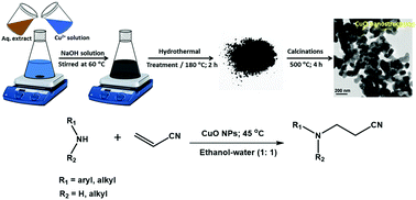 Graphical abstract: Sapindus mukorossi seed shell extract mediated green synthesis of CuO nanostructures: an efficient catalyst for C–N bond-forming reactions