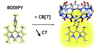 Graphical abstract: External complexation of BODIPYs by CB[7] improves in-cell fluorescence imaging