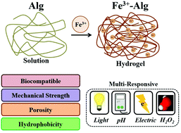 Graphical abstract: Iron(iii)-cross-linked alginate hydrogels: a critical review