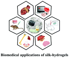 Graphical abstract: Challenges and opportunities of silk protein hydrogels in biomedical applications