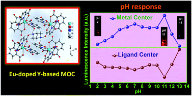 Graphical abstract: pH dependent sensitization of europium in a hydrogen bonded three-dimensional metal–organic compound with (4966)2(4462)3 topology: luminescence titration and time-resolved studies