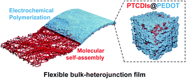 Graphical abstract: Combined nanoarchitectonics with self-assembly and electrosynthesis for flexible PTCDIs@PEDOT films with interpenetrating P–N heterojunctions