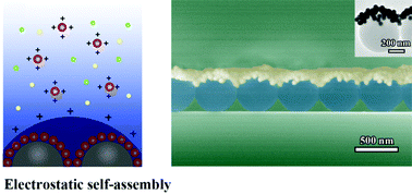 Graphical abstract: Electrostatic self-assembly of 2D Janus PS@Au nanoraspberry photonic-crystal array with enhanced near-infrared SERS activity