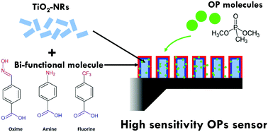 Graphical abstract: Investigation of interactions between organophosphorus compounds and TiO2 modified microcantilevers for molecule detection in air