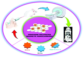 Graphical abstract: Magnetic nanocarriers adorned on graphene: promising contrast-enhancing agents with state-of-the-art performance in magnetic resonance imaging (MRI) and theranostics