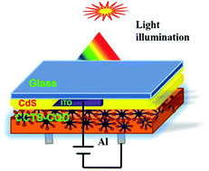 Graphical abstract: Role of carbon quantum dot for enhanced performance of photo-absorption in Cu2CoSnS4 superstrate solar cell device