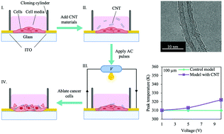 Graphical abstract: Ultra-efficient highly-selective MFC-7 cancer cell therapy enabled by combined electric-pulse carbon 1D-nanomaterials platforms