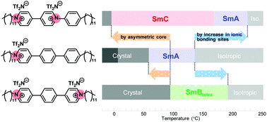 Graphical abstract: Molecular design of viologens to exhibit low-order liquid-crystalline phases