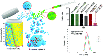 Graphical abstract: High affinity zoledronate-based metal complex nanocrystals to potentially treat osteolytic metastases