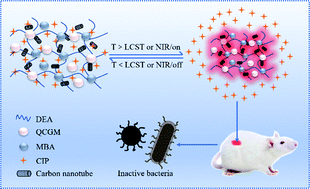 Graphical abstract: Smart DEA–QCGM–CNT hydrogels with temperature- and NIR-responsive behavior achieved by the synergy between CNT and QCGM for wound dressing