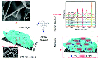 Graphical abstract: Aluminum sheet-induced porous zinc oxide nanosheets decorated with silver nanoparticles for ultrasensitive SERS sensing of crystal violet
