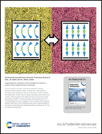 Graphical abstract: Inside back cover