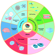 Graphical abstract: Cucurbit[8]uril-based supramolecular hydrogels for biomedical applications