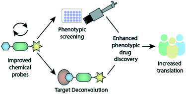 Graphical abstract: The right tools for the job: the central role for next generation chemical probes and chemistry-based target deconvolution methods in phenotypic drug discovery