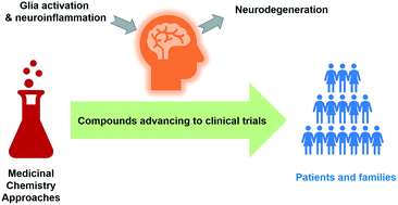 Graphical abstract: Small molecule therapeutics for neuroinflammation-mediated neurodegenerative disorders