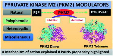 Graphical abstract: Tumor pyruvate kinase M2 modulators: a comprehensive account of activators and inhibitors as anticancer agents