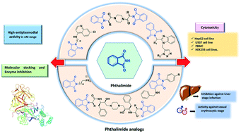 Graphical abstract: Phthalimide analogs for antimalarial drug discovery