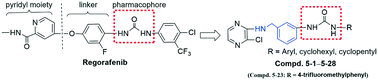 Graphical abstract: Concise synthesis and biological activity evaluation of novel pyrazinyl–aryl urea derivatives against several cancer cell lines, which can especially induce T24 apoptotic and necroptotic cell death