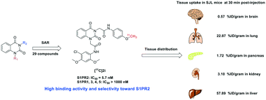 Graphical abstract: Synthesis and evaluation of highly selective quinazoline-2,4-dione ligands for sphingosine-1-phosphate receptor 2