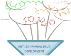 Graphical abstract: Current leishmaniasis drug discovery