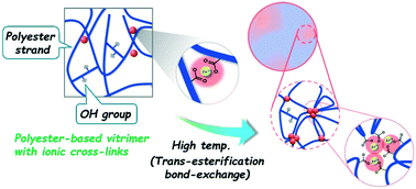 Graphical abstract: Design and basic properties of polyester vitrimers combined with an ionomer concept