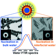 Graphical abstract: Formation of amorphous PbCrO4 nanoparticles depending on the quantitative control of interfacial water