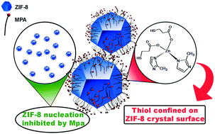 Graphical abstract: Post-synthetic modification and chemical modulation of the ZIF-8 MOF using 3-mercaptopropionic acid (MPA): a multi-technique study on thermodynamic and kinetic aspects