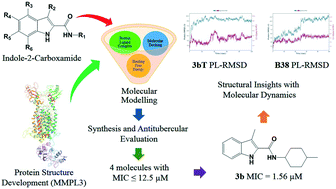 Graphical abstract: Molecular insights into Mmpl3 lead to the development of novel indole-2-carboxamides as antitubercular agents