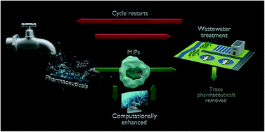 Graphical abstract: Remediation of pharmaceuticals from wastewater via computationally selected molecularly imprinted polymers