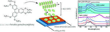 Graphical abstract: Columnar liquid crystals as stability enhancing hole transport layers for Ruddlesden–Popper perovskite optoelectronics