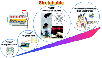 Graphical abstract: Organic molecular and polymeric electrets toward soft electronics