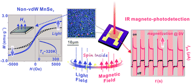 Graphical abstract: Two-dimensional magneto-photoconductivity in non-van der Waals manganese selenide