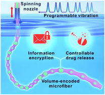 Graphical abstract: Programmable dynamic interfacial spinning of bioinspired microfibers with volumetric encoding