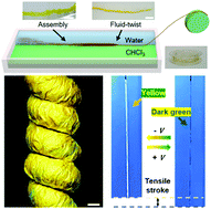 Graphical abstract: Scalable fluid-spinning nanowire-based inorganic semiconductor yarns for electrochromic actuators