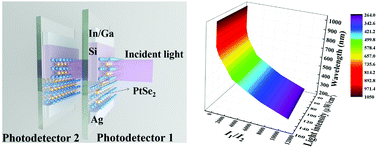 Graphical abstract: Detection of wavelength in the range from ultraviolet to near infrared light using two parallel PtSe2/thin Si Schottky junctions