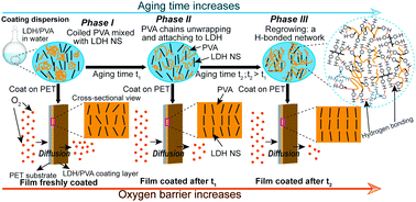 Graphical abstract: Aged layered double hydroxide nanosheet–polyvinyl alcohol dispersions for enhanced gas barrier coating performance