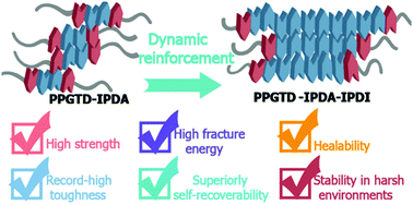 Graphical abstract: Molecular engineering of a colorless, extremely tough, superiorly self-recoverable, and healable poly(urethane–urea) elastomer for impact-resistant applications