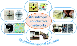Graphical abstract: Anisotropic conductive networks for multidimensional sensing