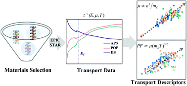 Graphical abstract: Electronic transport descriptors for the rapid screening of thermoelectric materials