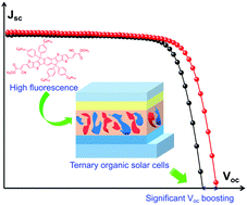 Graphical abstract: Reducing non-radiative recombination energy loss via a fluorescence intensifier for efficient and stable ternary organic solar cells