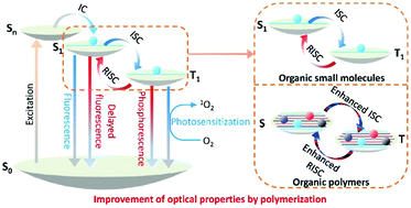 Graphical abstract: Modulating the optical properties and functions of organic molecules through polymerization