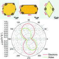 Graphical abstract: Growth direction dependent separate-channel charge transport in the organic weak charge-transfer co-crystal of anthracene–DTTCNQ