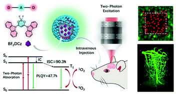 Graphical abstract: A biocompatible photosensitizer with a high intersystem crossing efficiency for precise two-photon photodynamic therapy