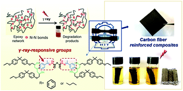 Graphical abstract: γ-Ray-driven degradation of robust epoxy thermosets