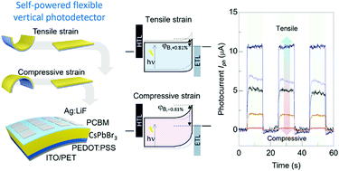 Graphical abstract: Origin of the anisotropic-strain-driven photoresponse enhancement in inorganic halide-based self-powered flexible photodetectors