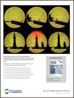 Graphical abstract: Inside back cover