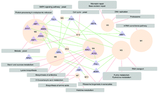 Graphical abstract: Time-dependent re-organization of biological processes by the analysis of the dynamic transcriptional response of yeast cells to doxorubicin