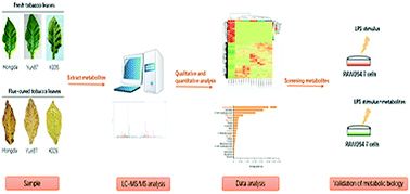 Graphical abstract: Metabolomics analysis provides new insights into the medicinal value of flavonoids in tobacco leaves